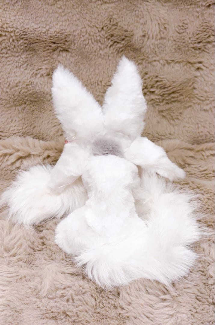 user_5816f61eページ