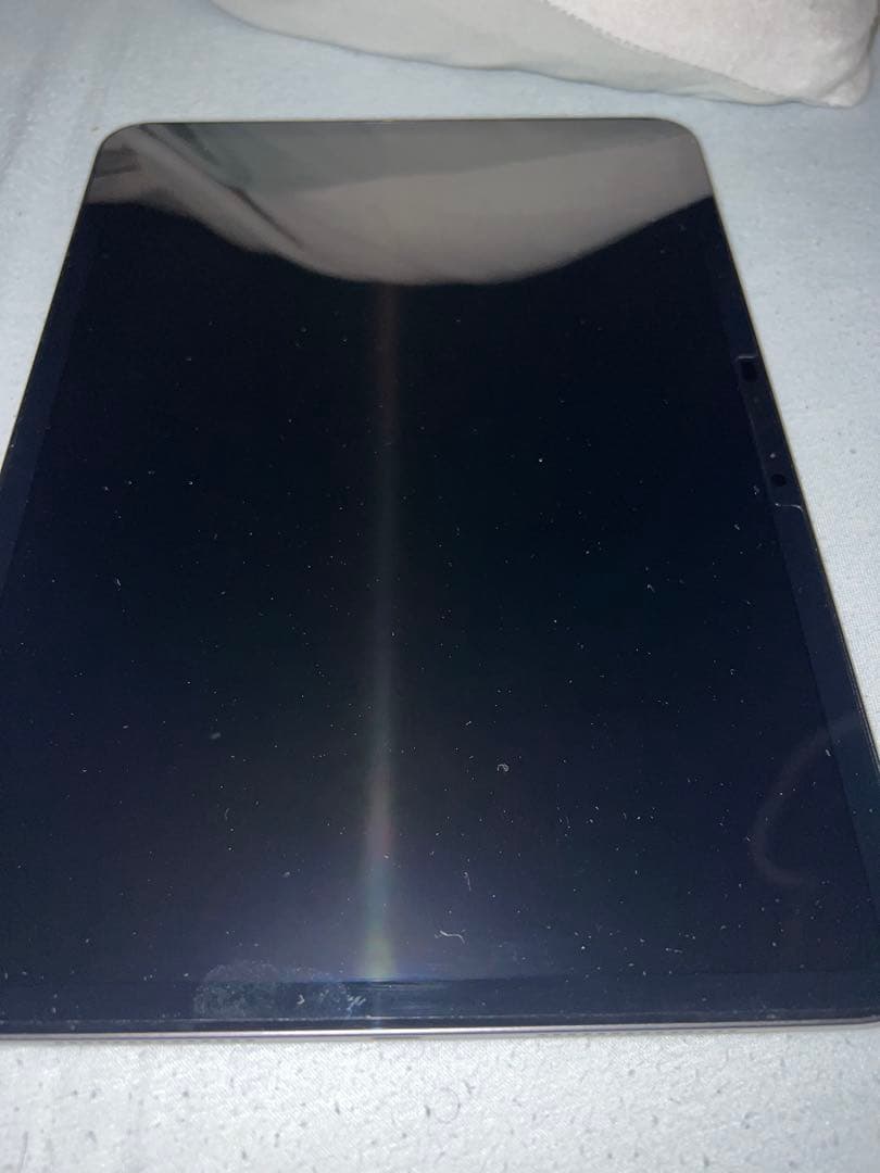 iPad Pro 11インチ 256GB Wifiモデル 正規品