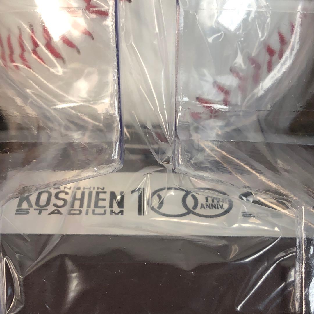 未開封 TUBE 甲子園100周年記念 ボール 甲子園 2024