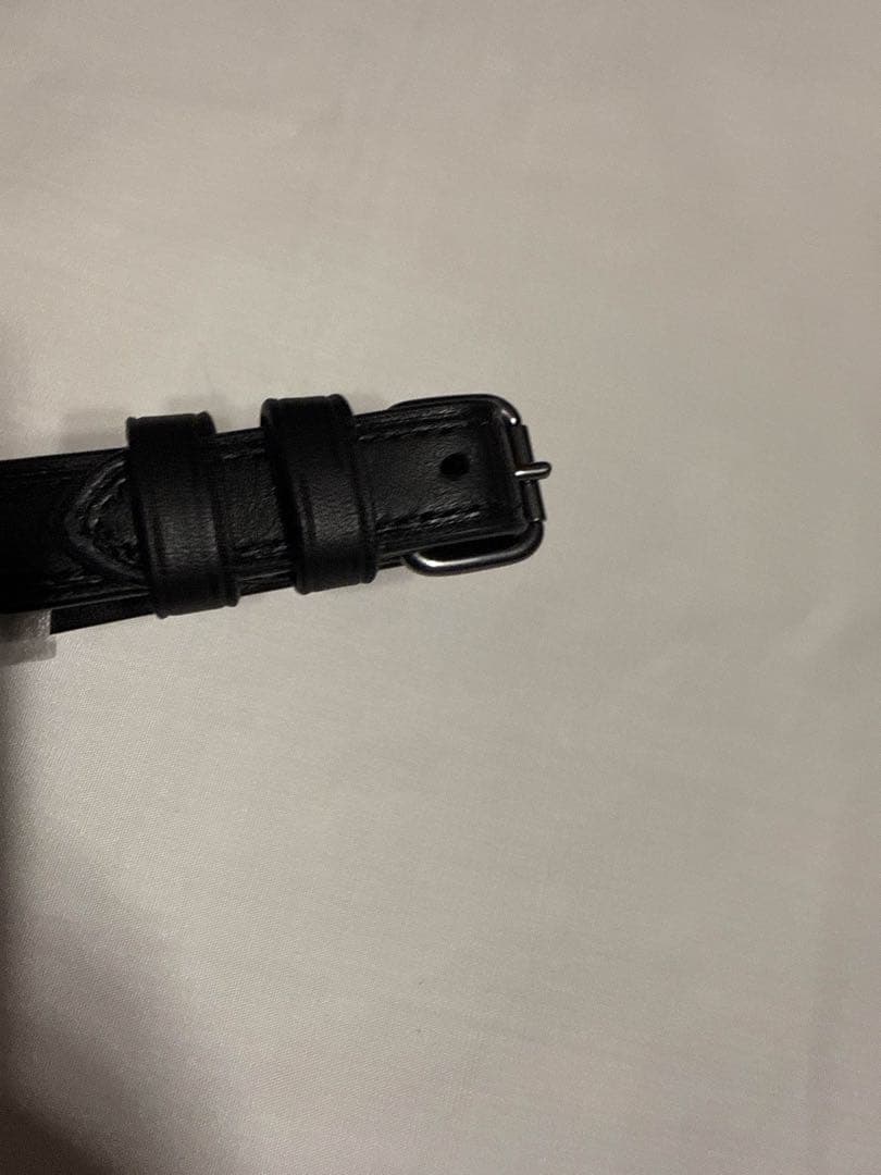 ☆SALE☆ COACH ネームタグ シグネチャー ラゲッジタグ グリーンマルチ