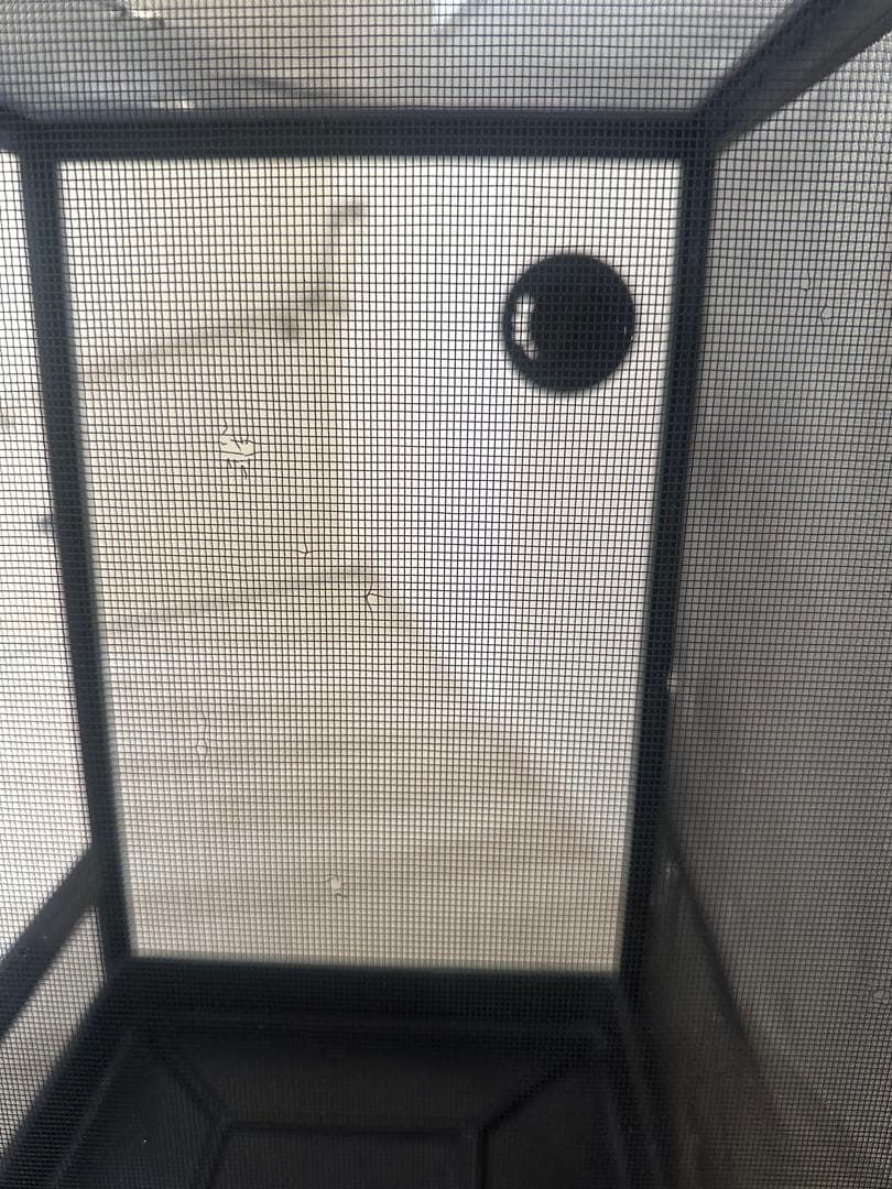 爬虫類　カメレオン　メッシュケージ　42×42×66