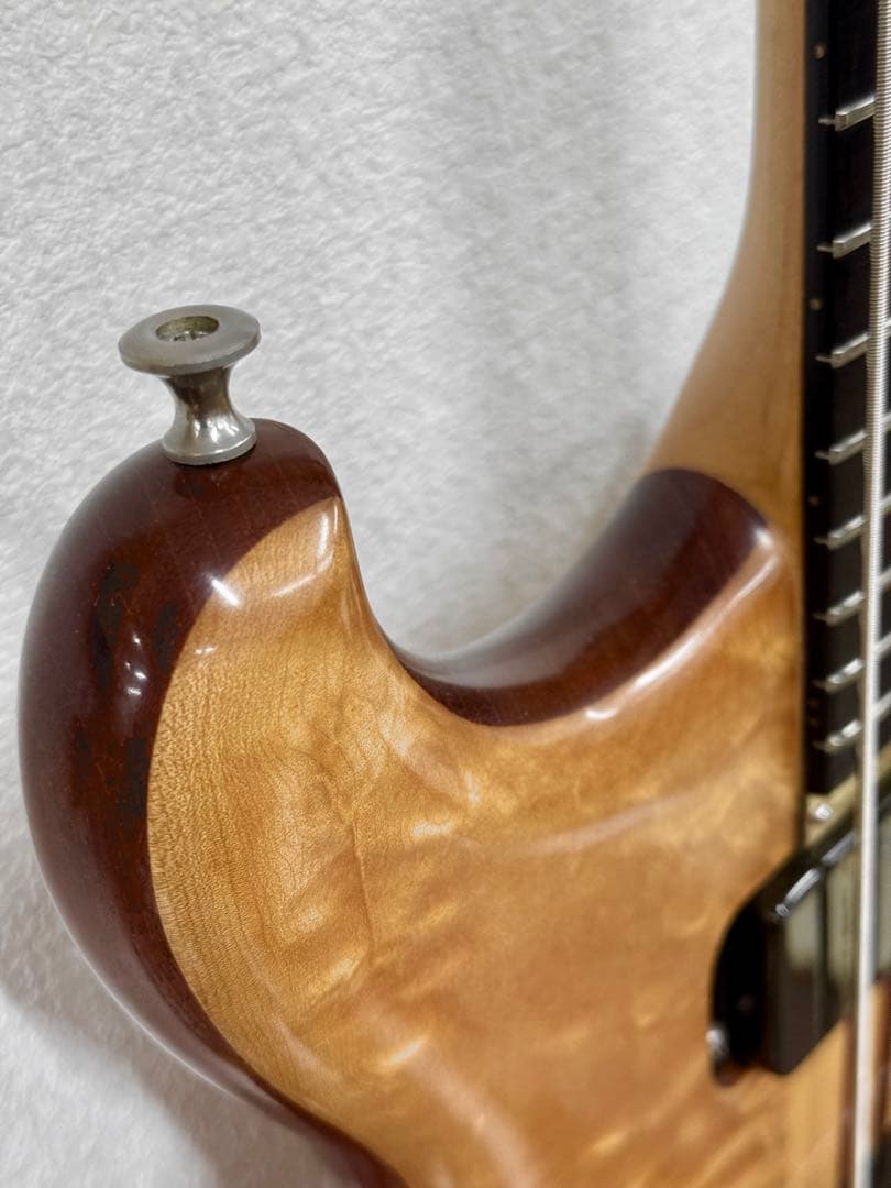 【希少】ALEMBIC DISTILLATE 2PU BASS 1983