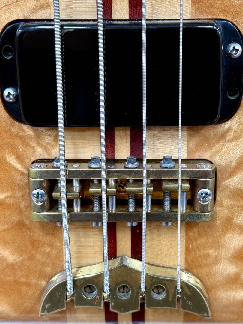 【希少】ALEMBIC DISTILLATE 2PU BASS 1983