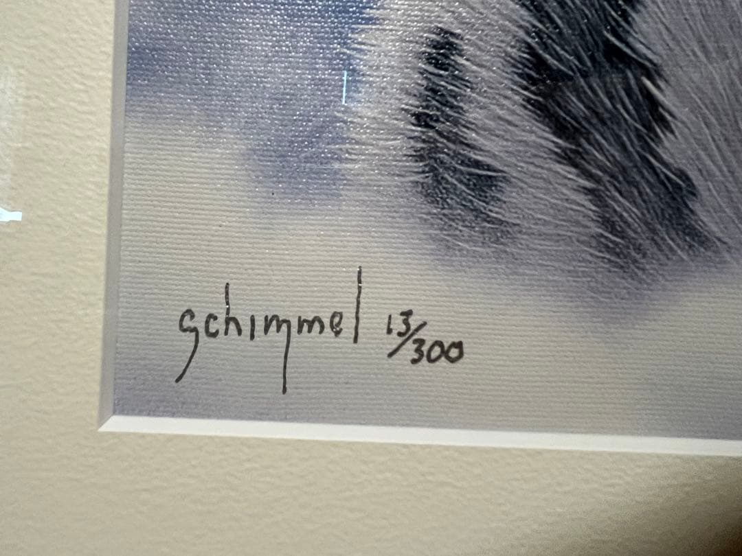 シムシメール 天空の砦