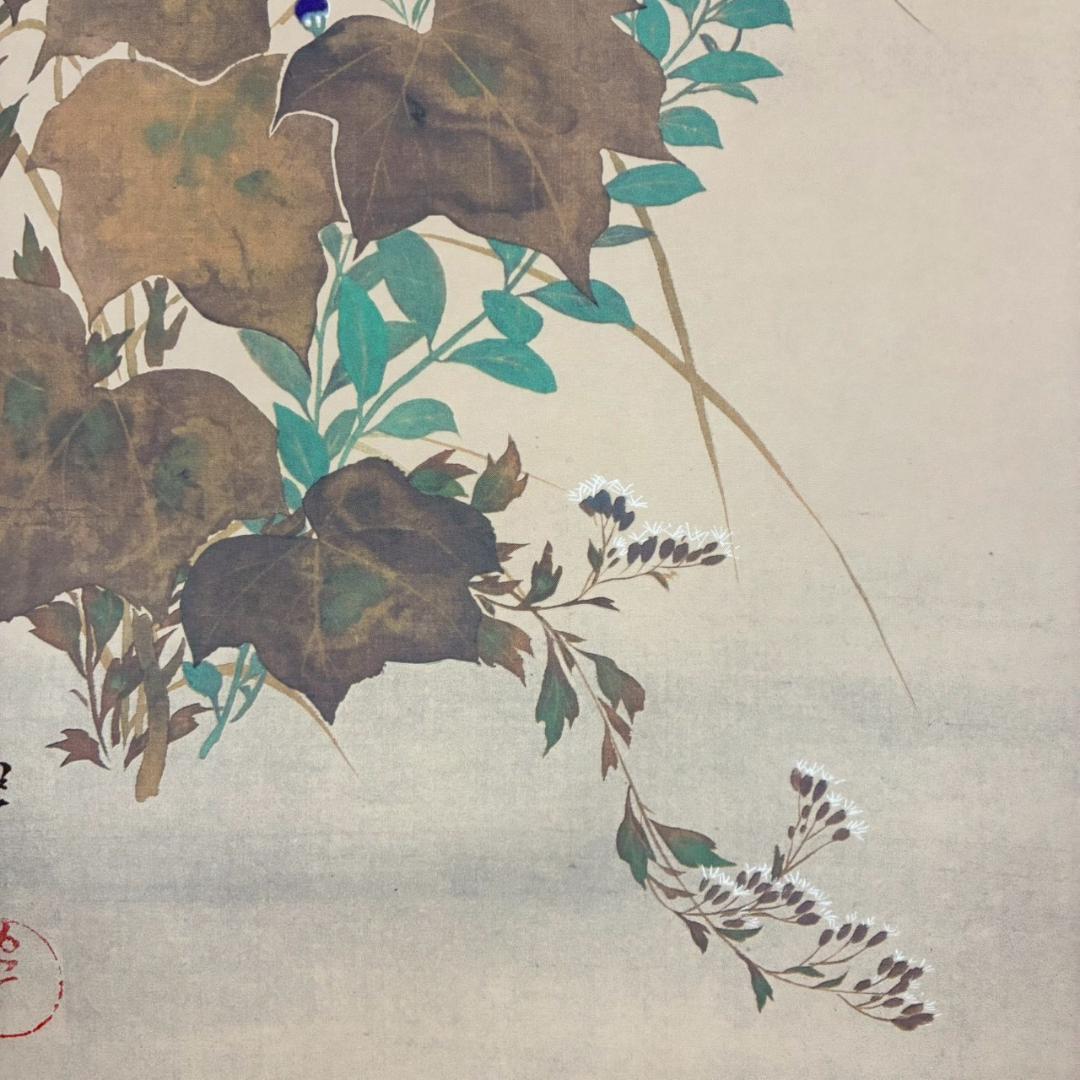 美品 酒井抱一「秋草に螽斯図」工芸品 復刻 掛け軸 掛軸 限定品 秋掛 菊紋表具