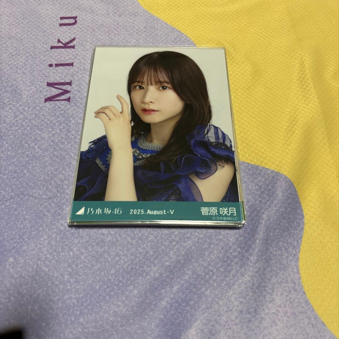 圭一　菅原咲月　15枚