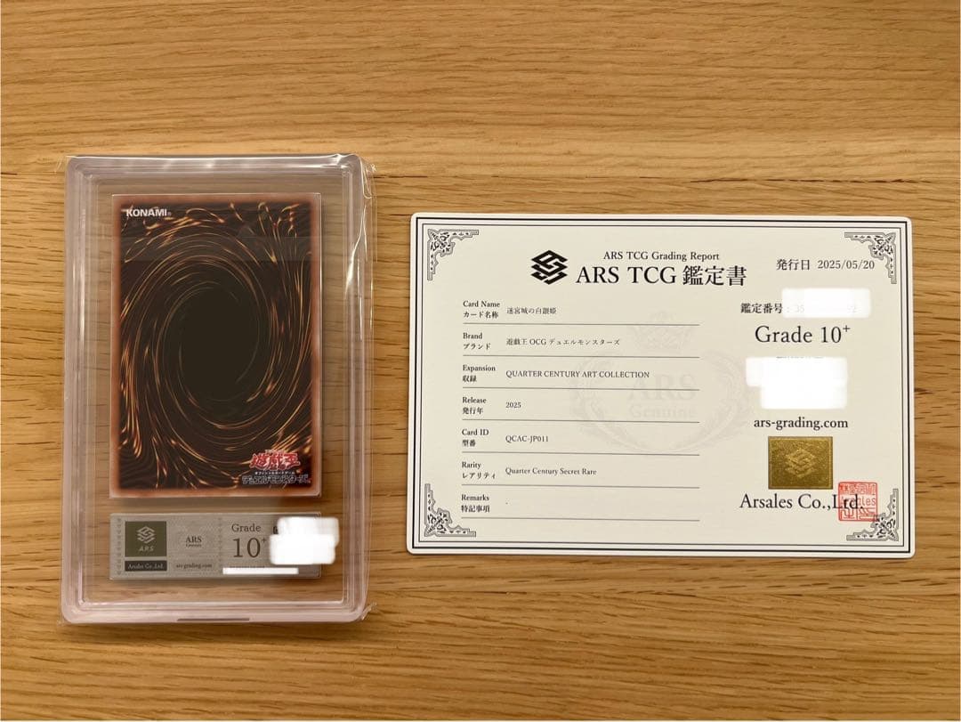 【ARS10+/鑑定書付】迷宮城の白銀姫(通常絵) [25th]