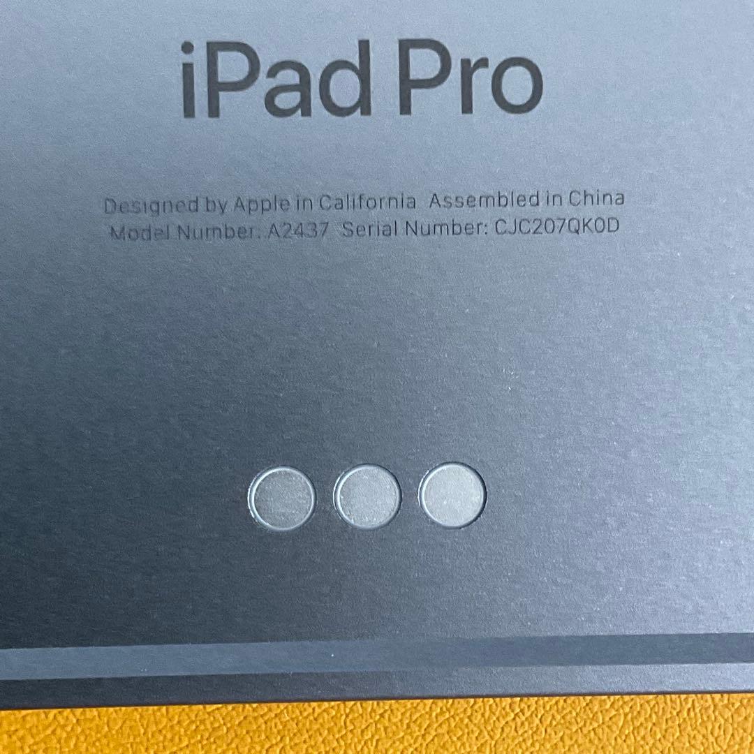 極美品 iPadPro12.9インチ第6世代 Cellular 256GB M2