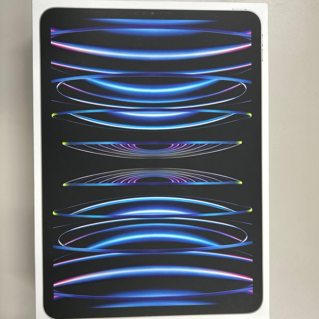 iPad Pro 11インチ 第４世代 256GB セット