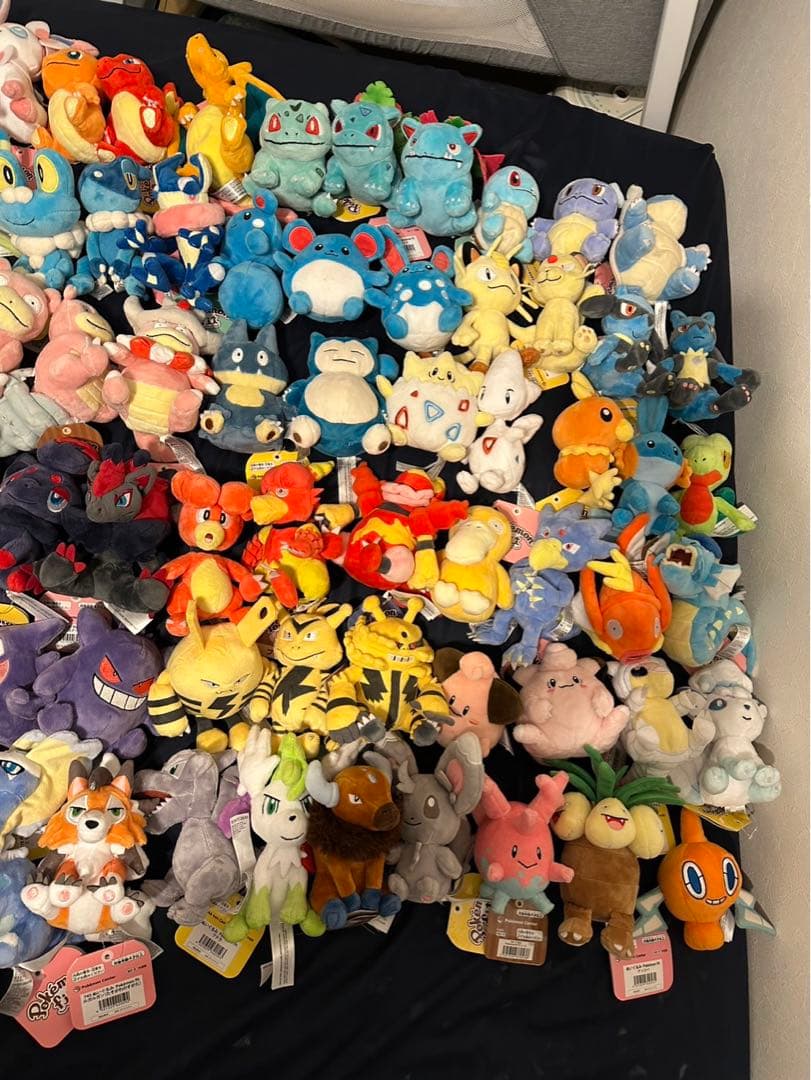 【タグ付き】ポケモンfit 129個セット