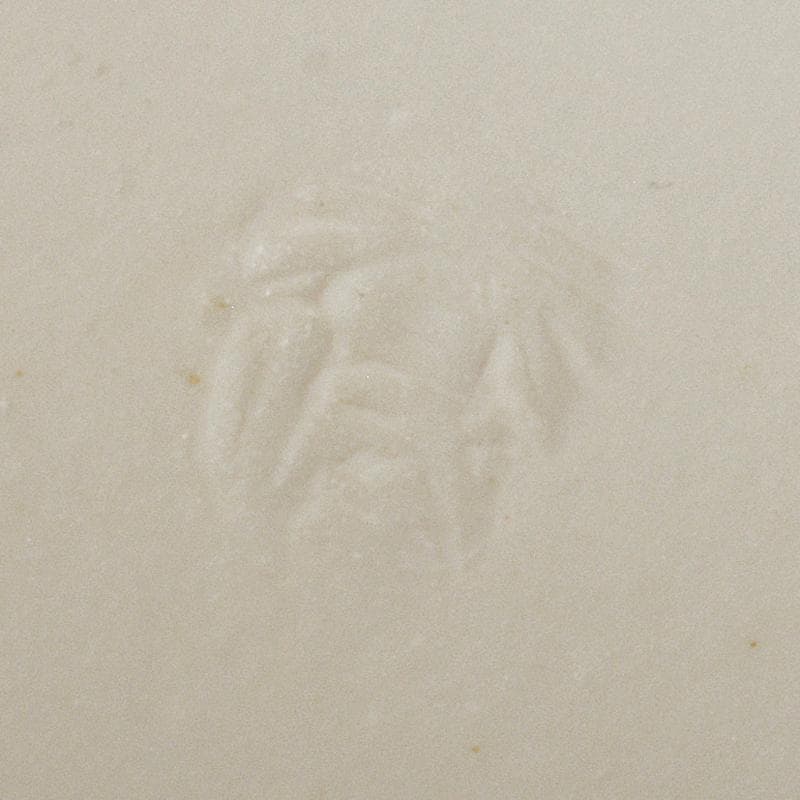 茶道具　朱塗　茶箱　黒茶碗　平安春峰作振出など　五点　一式　V　R6873