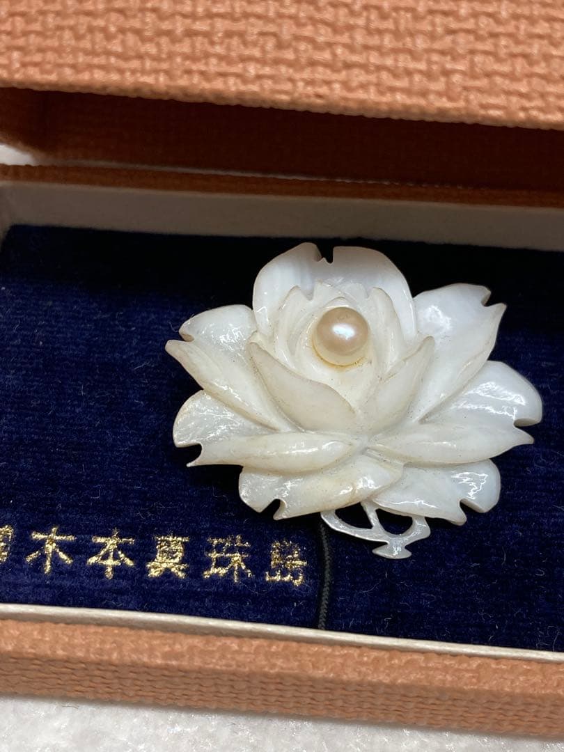 未使用品 本鼈甲 白甲 本珊瑚 赤珊瑚 本真珠 925 ブローチ ネックレス