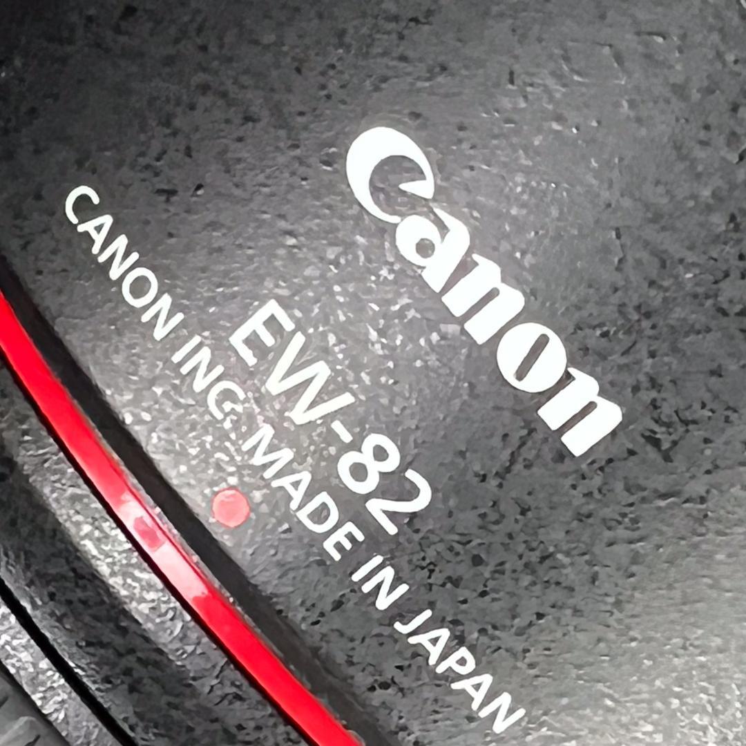 レンズ(ズーム) Canon EF16-35mm f/4 L IS USM +KenkoPRO1D