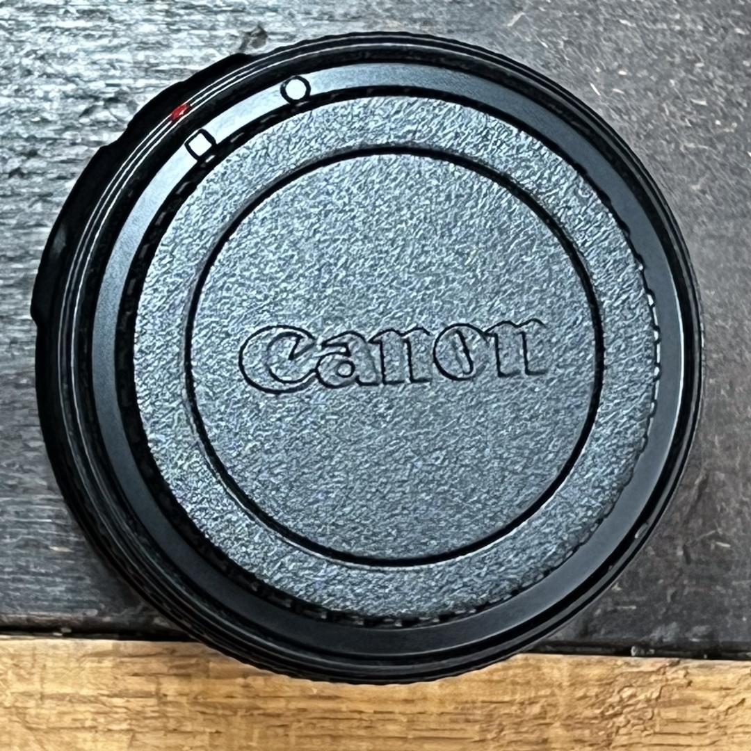 レンズ(ズーム) Canon EF16-35mm f/4 L IS USM +KenkoPRO1D