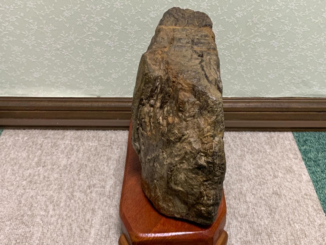 珪化木石　珪化木　H約18cm W約28cm D約9cm 約6,1kg　台付