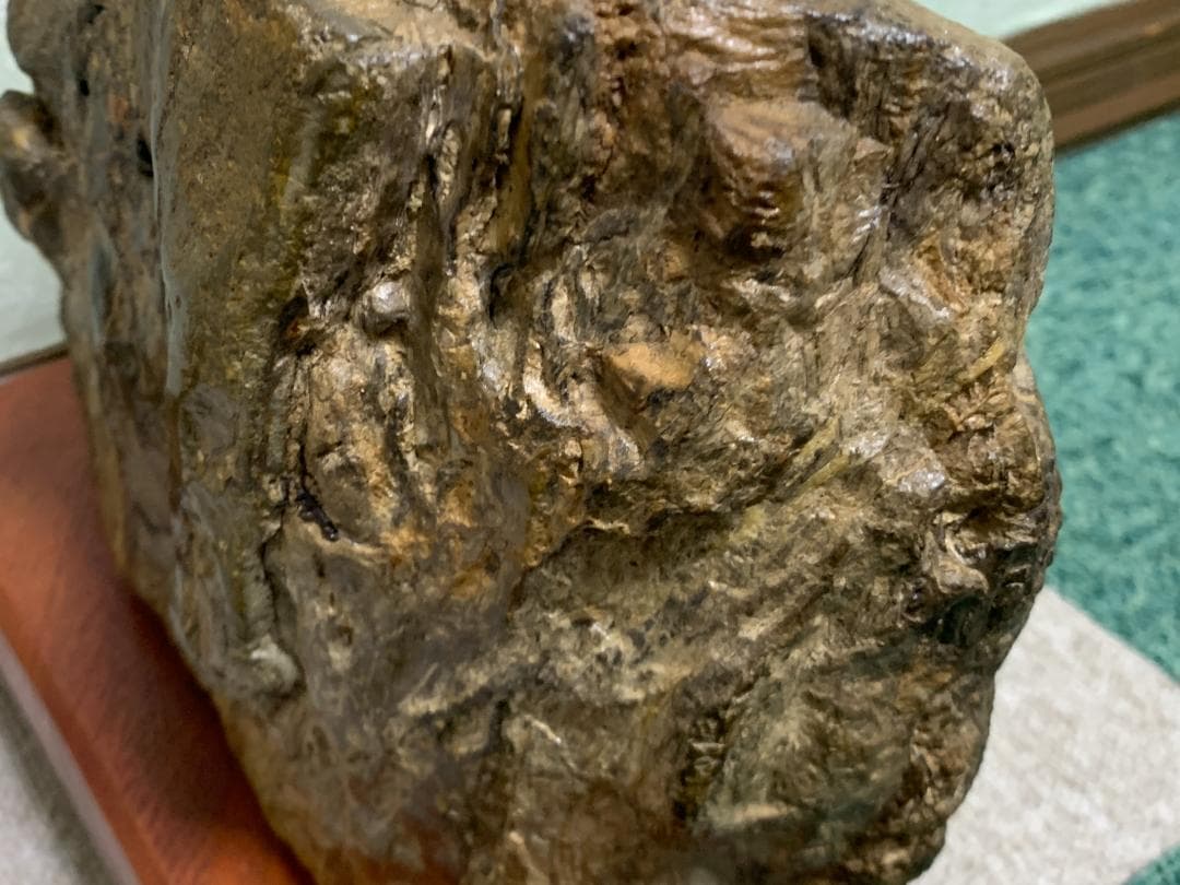 珪化木石　珪化木　H約18cm W約28cm D約9cm 約6,1kg　台付