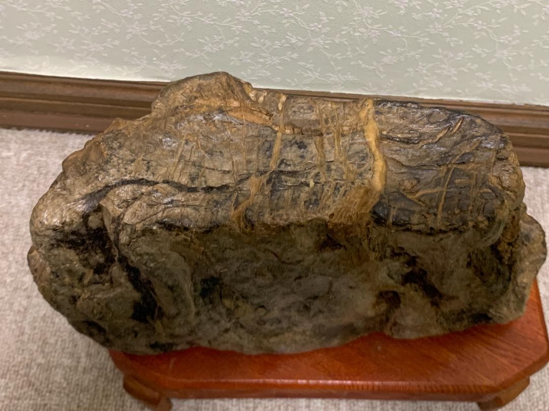 珪化木石　珪化木　H約18cm W約28cm D約9cm 約6,1kg　台付