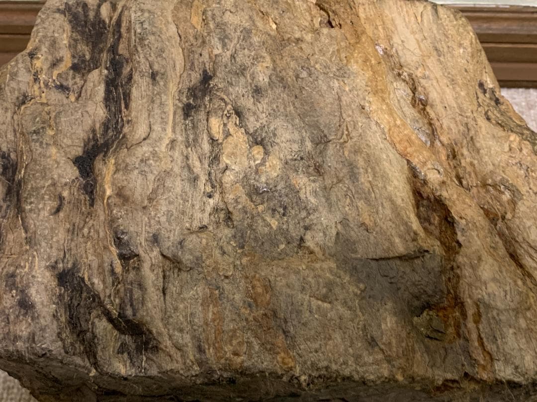 珪化木石　珪化木　H約18cm W約28cm D約9cm 約6,1kg　台付