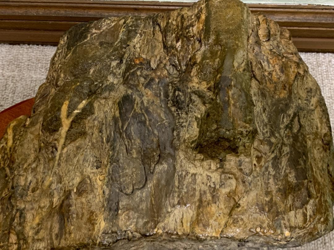 珪化木石　珪化木　H約18cm W約28cm D約9cm 約6,1kg　台付