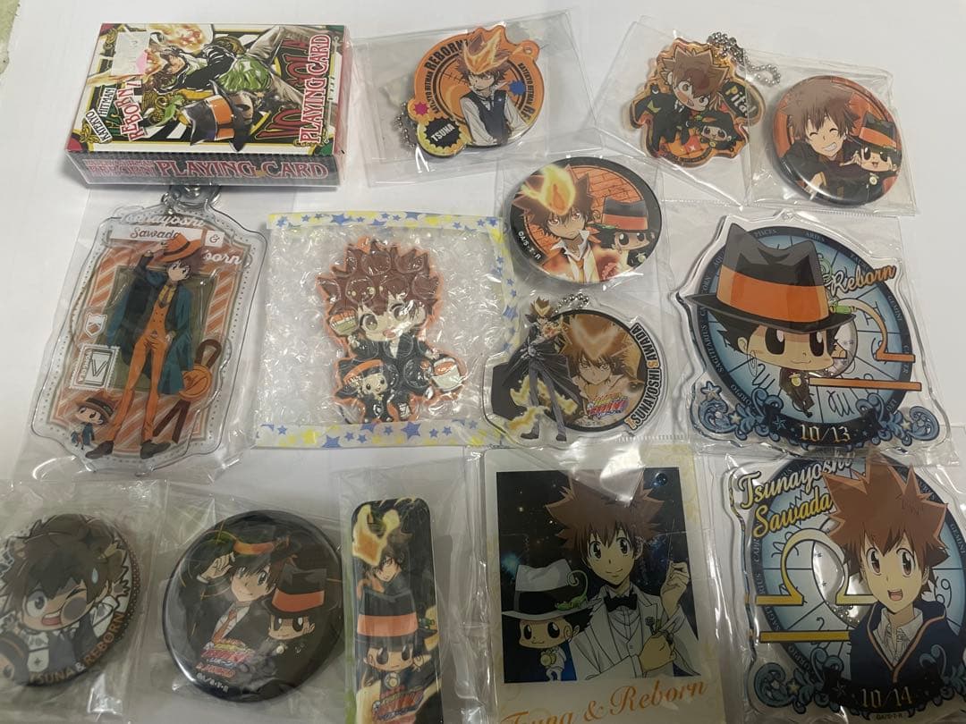 家庭教師ヒットマンREBORN 沢田綱吉セット