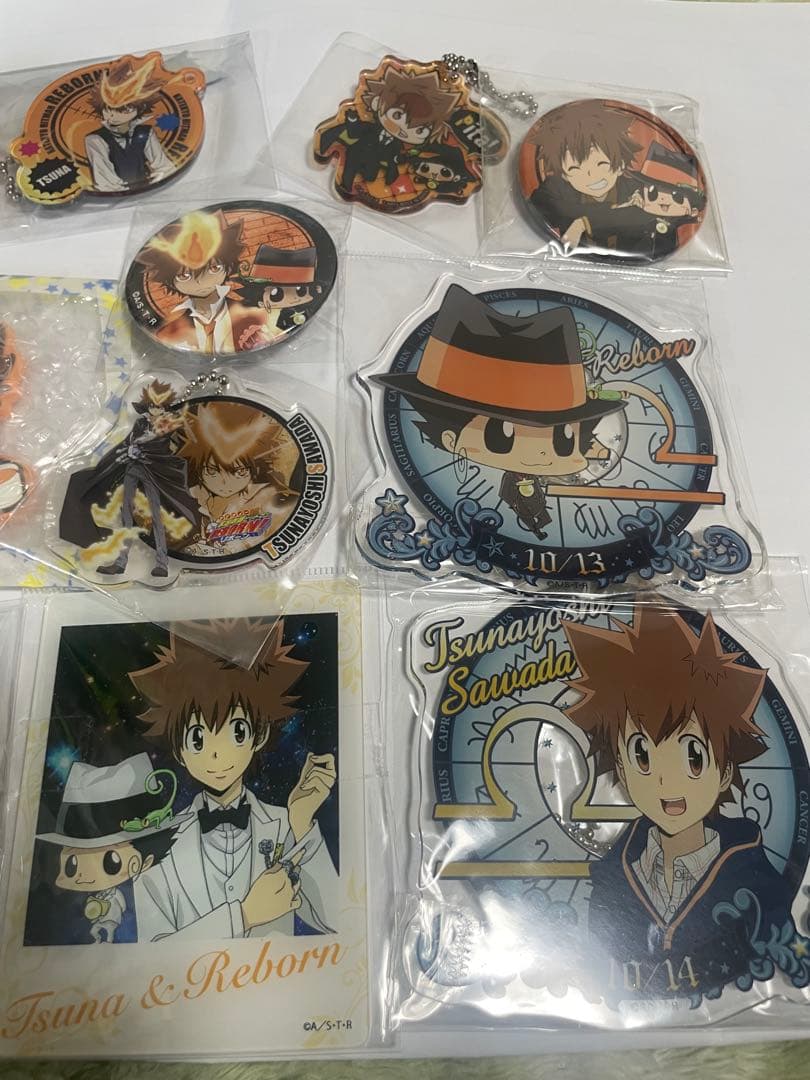 家庭教師ヒットマンREBORN 沢田綱吉セット