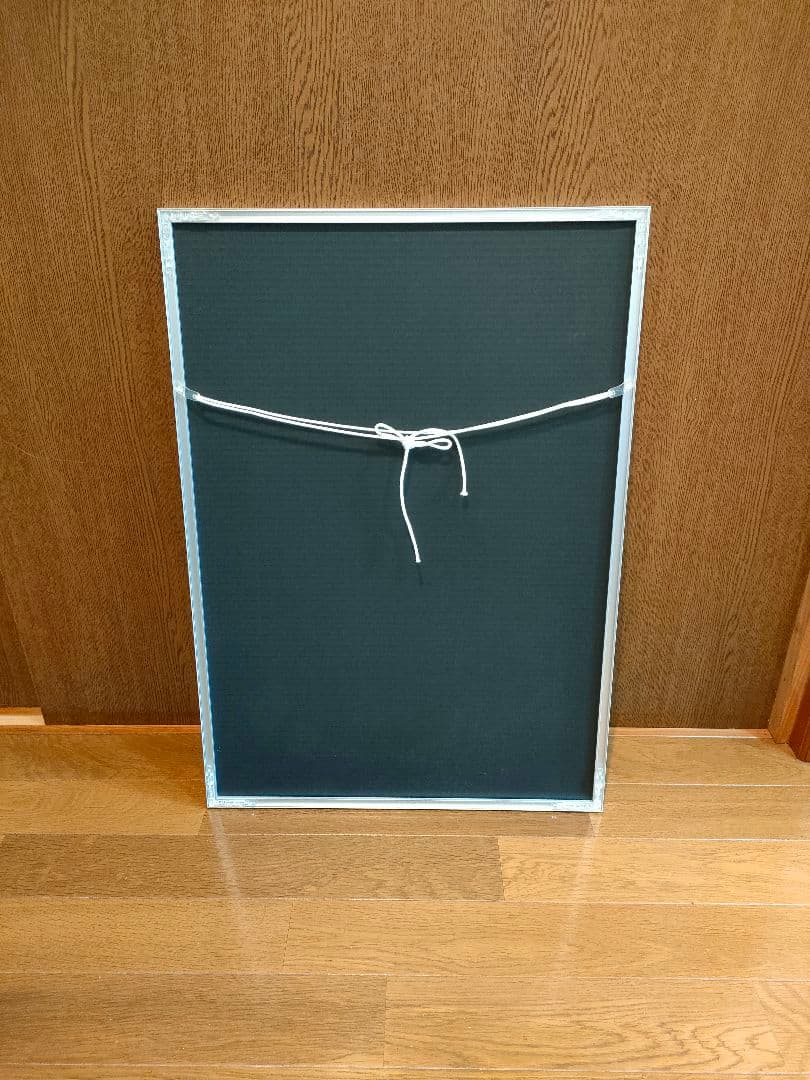 フランツ・リスト　写真