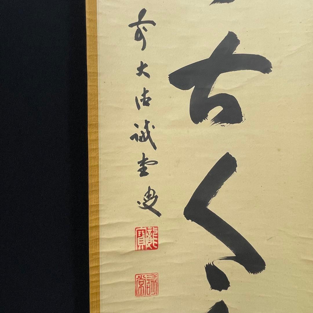 4103 藤井誡堂 「松無古今色」 共箱 肉筆 紙本 掛軸 臨済宗 大徳寺 禅語