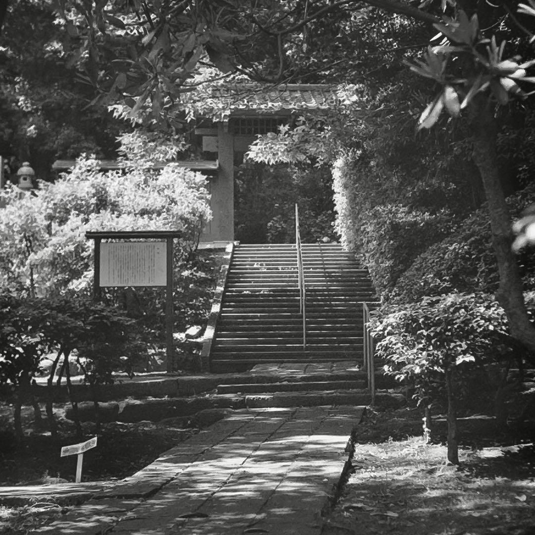 Kodak No.1 Pocket Autographic動作確認済み