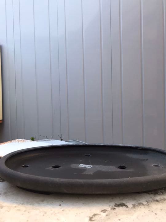 盆栽鉢　時代古鉢水庄園楕円丸縁紫泥大型盆栽平鉢 サイズ48x34x4cm程