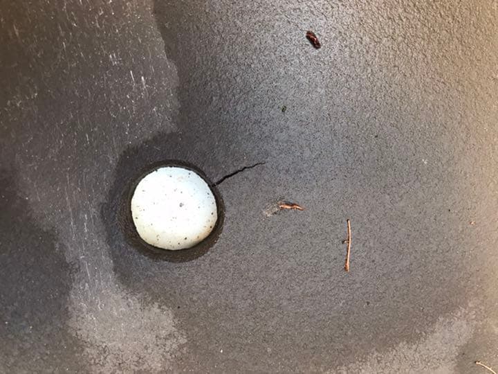 盆栽鉢　時代古鉢水庄園楕円丸縁紫泥大型盆栽平鉢 サイズ48x34x4cm程