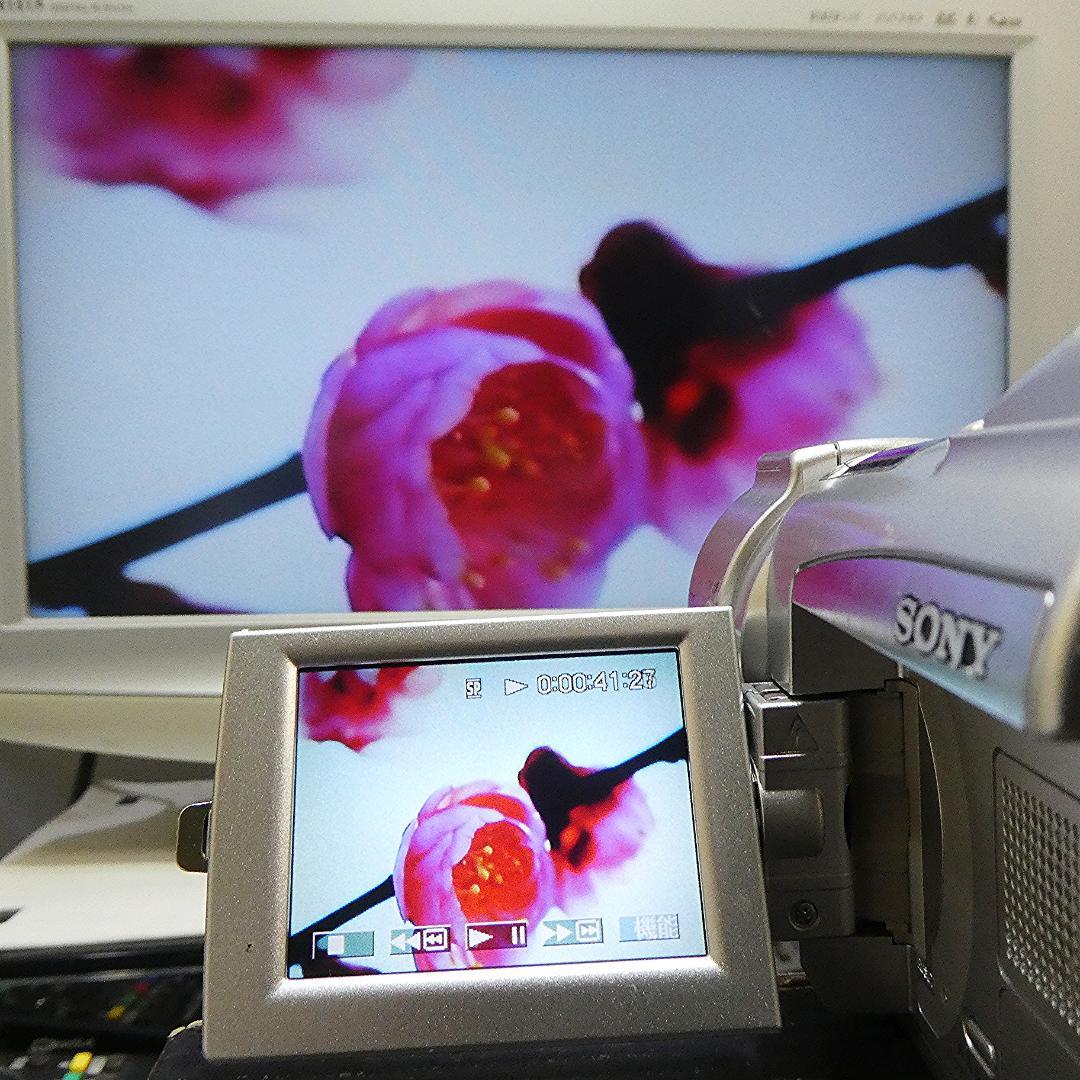 動作品 ソニーDCR-TRV70 MiniDV ビデオカメラ DVDダビングに
