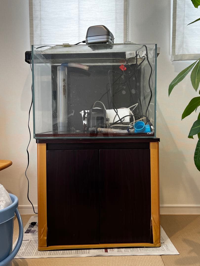 600×450×450 オーバーフロー水槽 フルセット