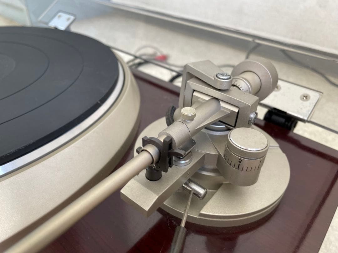 DJ機材 DENON DP-60M QUARTZ DIRECTDRIVE