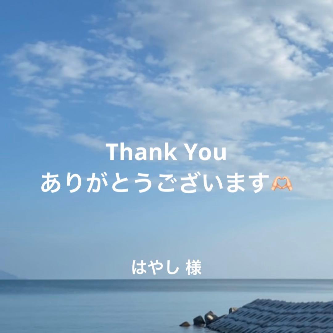 はやし様 リクエスト 4点 まとめ商品