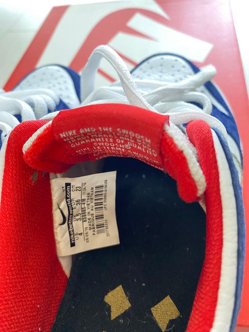 スケートボード NIKE DUNK LOW PRO IW QS BMW