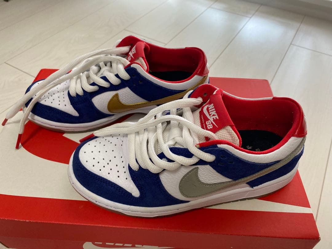 スケートボード NIKE DUNK LOW PRO IW QS BMW