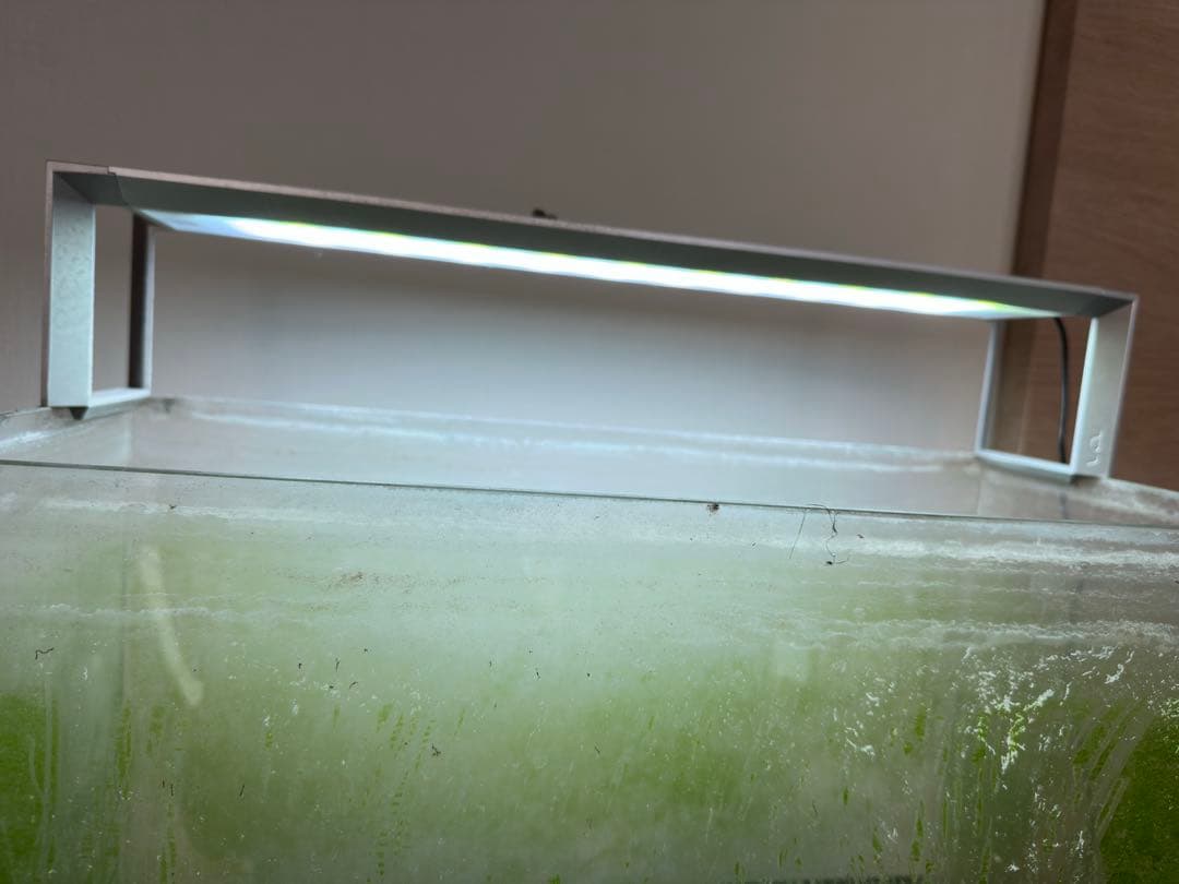 ADA アクアスカイ RGB 60