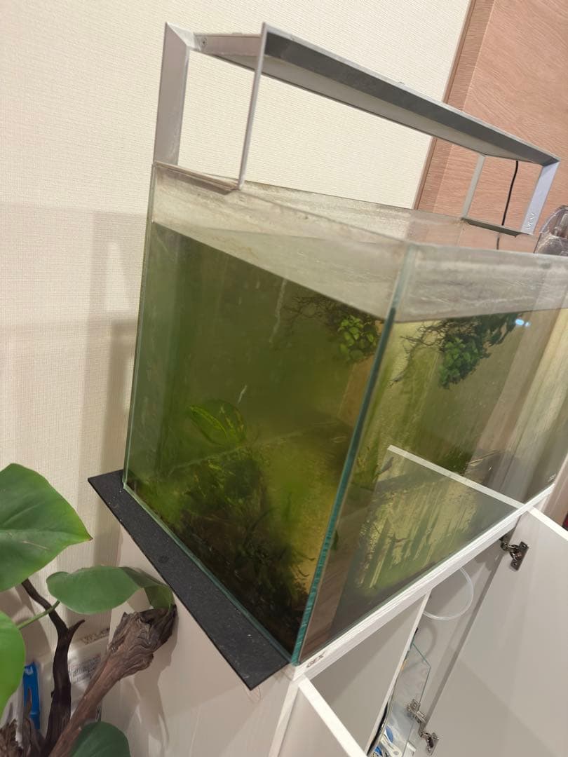 ADA アクアスカイ RGB 60