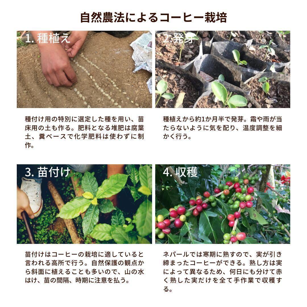 ○オーガニックコーヒー ダーク フェアトレード 1kg 粉 コーヒー豆 ネパール