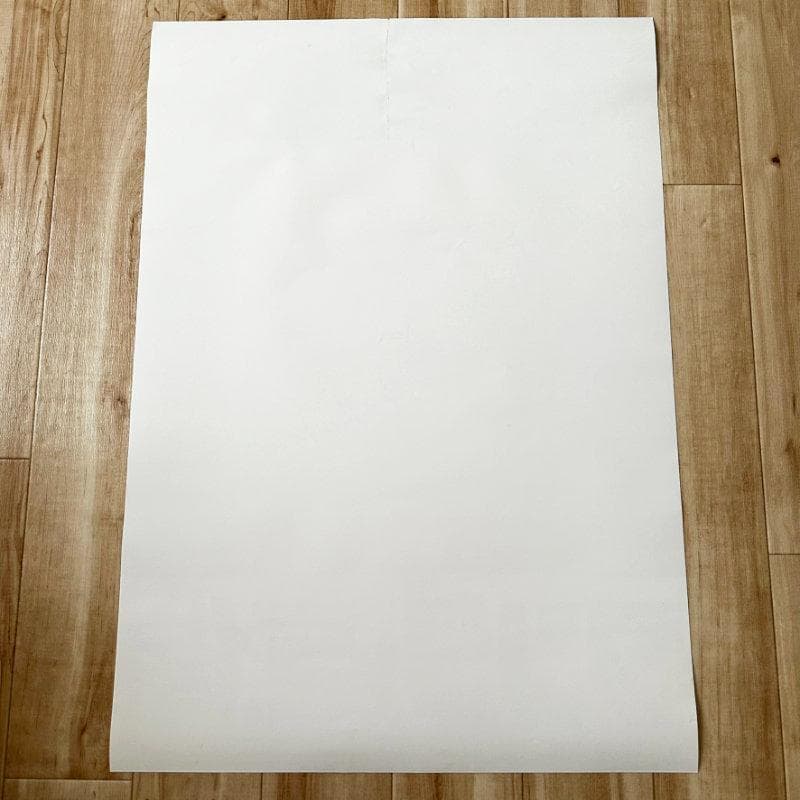 PS4 ワンダと巨像 ポスター B2サイズ 販促 非売品