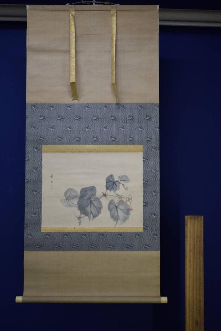 真作/松村景文/秋海棠図/シュウカイドウ図/布袋屋掛軸HI-244