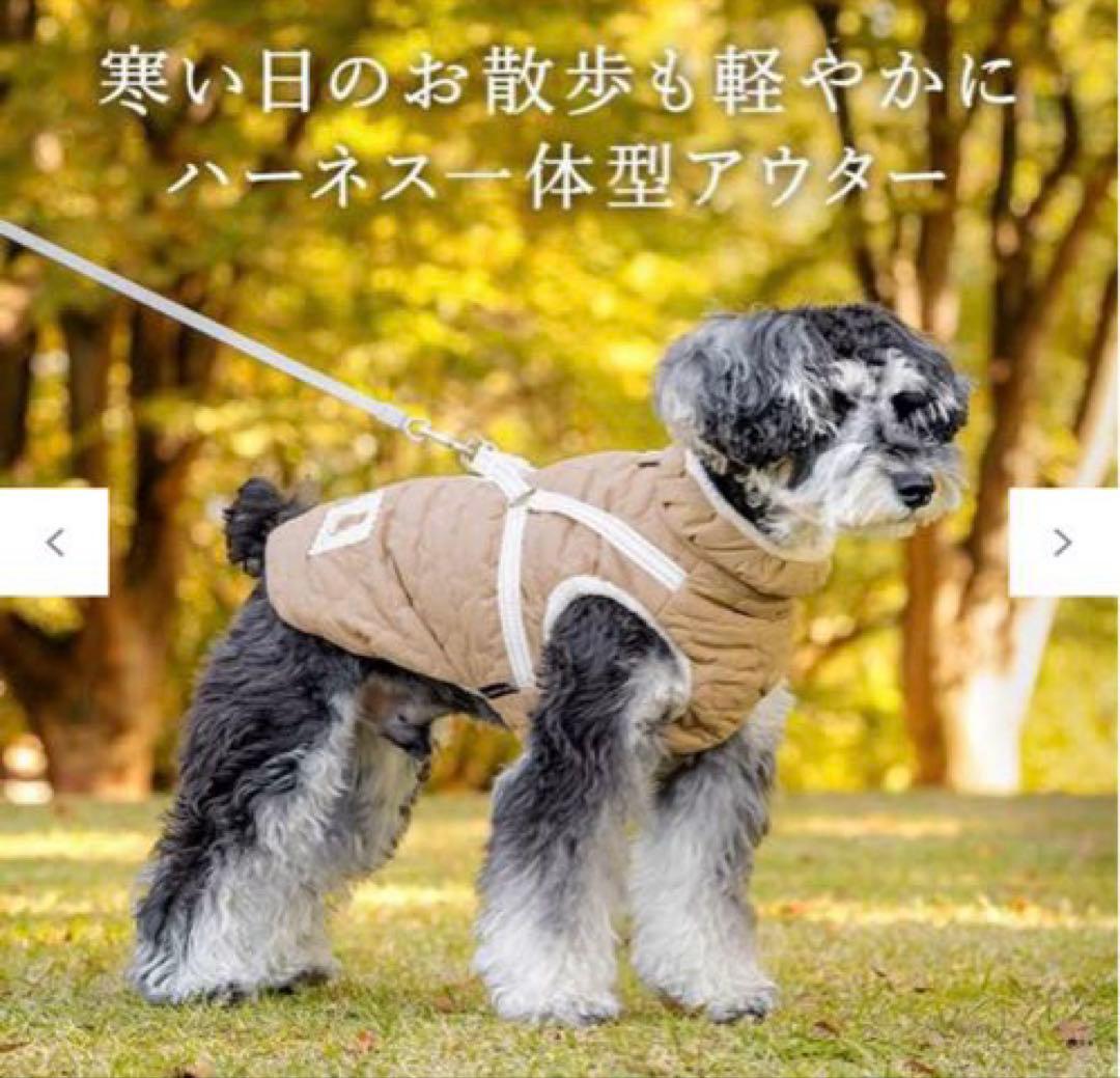 PET PARADISE くまちゃん アウターハーネス キルト 小型犬【新品】