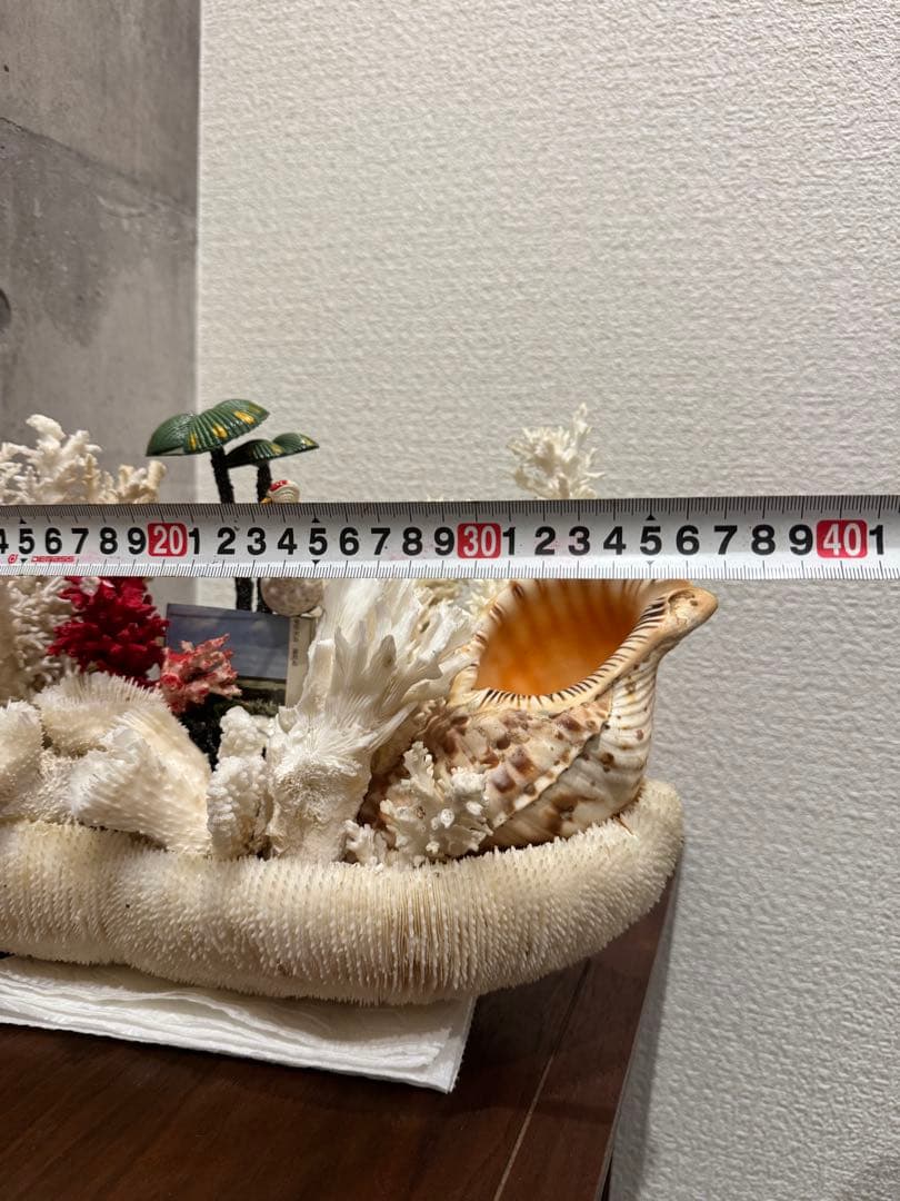 白珊瑚天然　オブジェ　アクアリウム　インテリア　デコレーション サンゴ