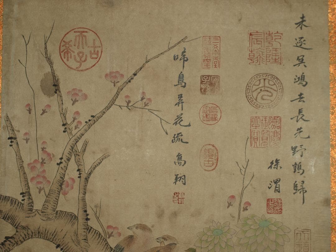 民間仕入れ品　中国清時代の物図　肉筆絵　激安骨董品 BD226A13-3