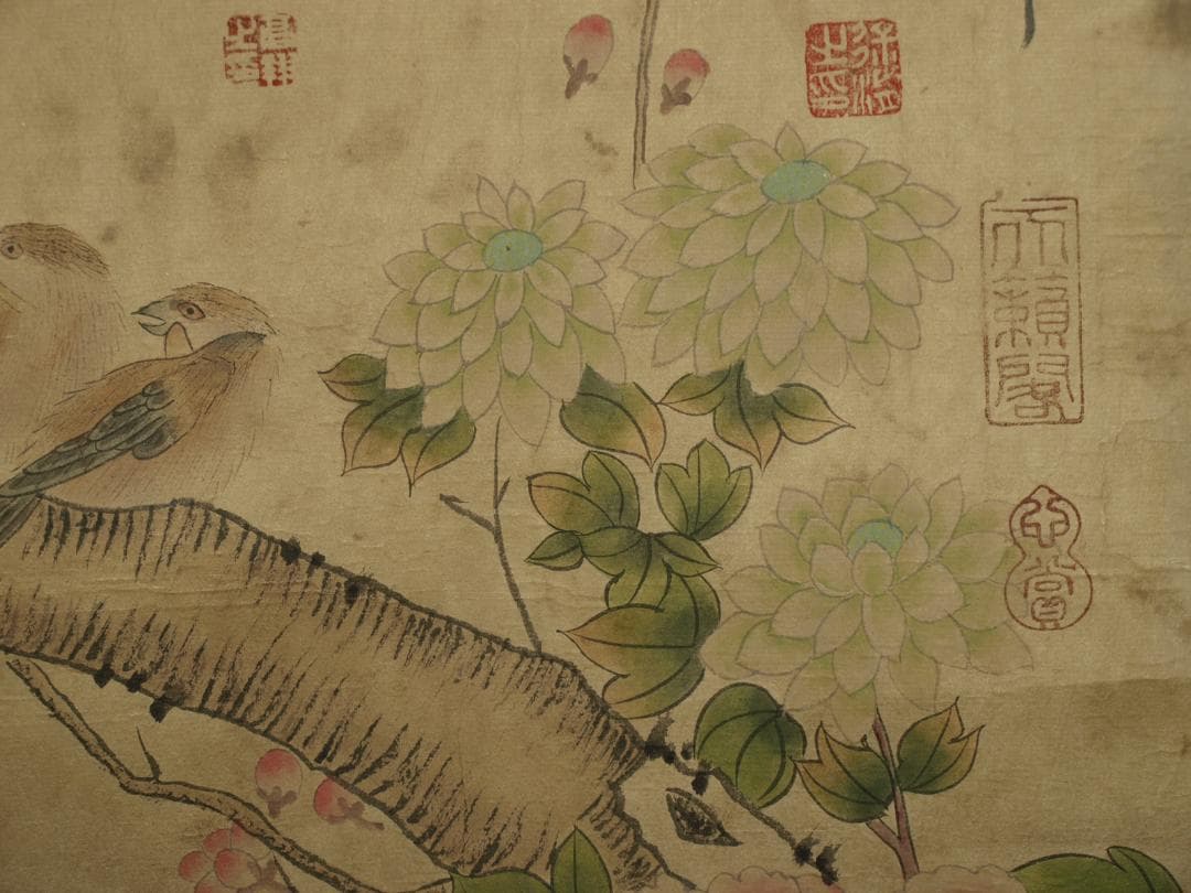 民間仕入れ品　中国清時代の物図　肉筆絵　激安骨董品 BD226A13-3