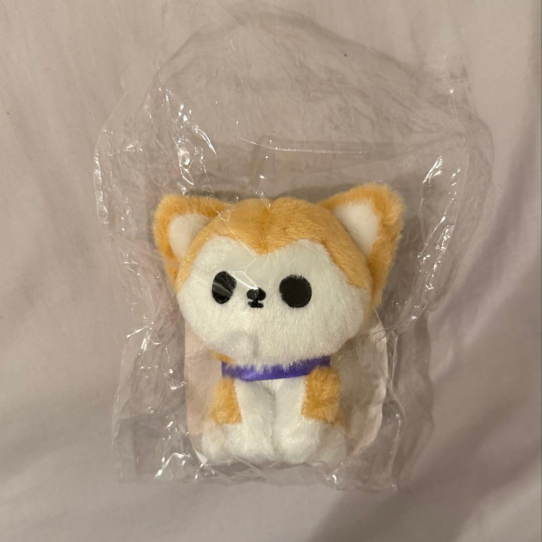 超特急　リョウガ　生誕　ティアラ