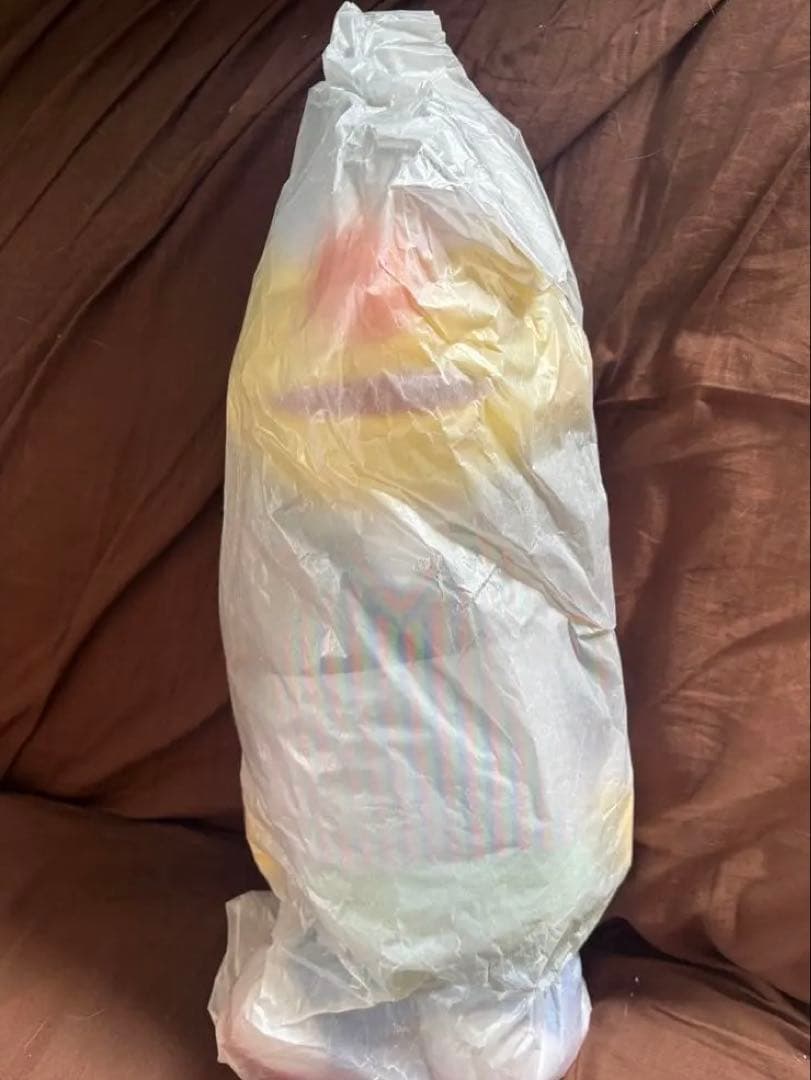 【タグ付き】KAWS セサミストリート ぬいぐるみ