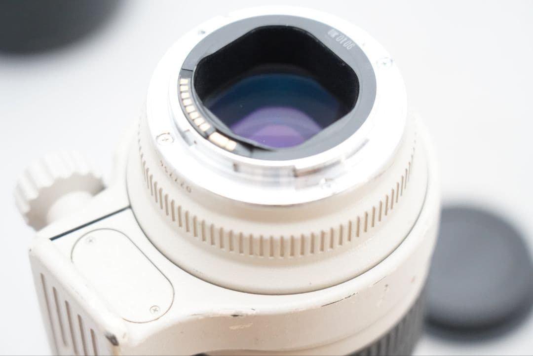 キャノン EF 70-200㎜ F=1:2.8 L USM 超望遠・ズームレンズ