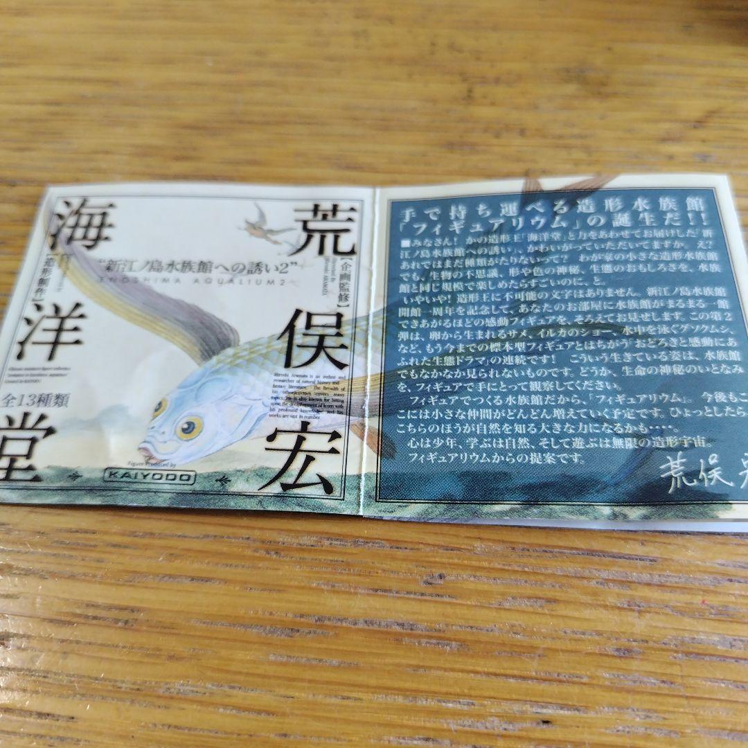 土日値下げ江の島水族館 海洋生物1、 2全フィギュア29種フルコンプセット