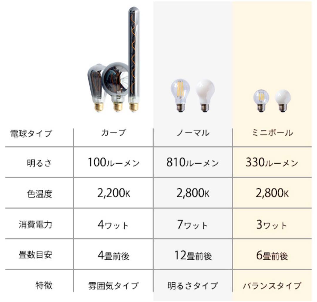 gram eight （グラムエイト）ブラック　シーリングライト 電球付き